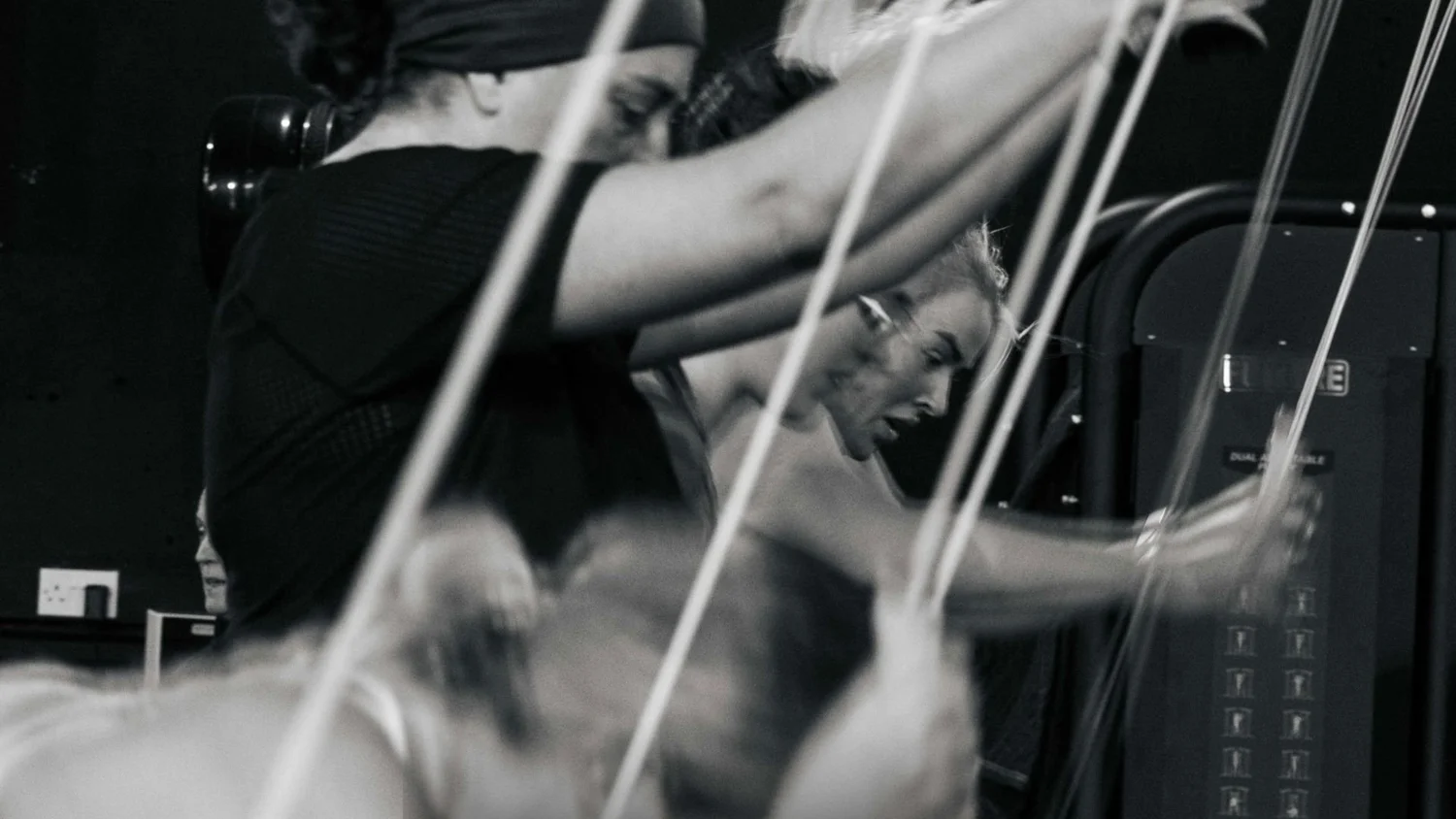 Comunidade de afiliados «Deadly Dozen»